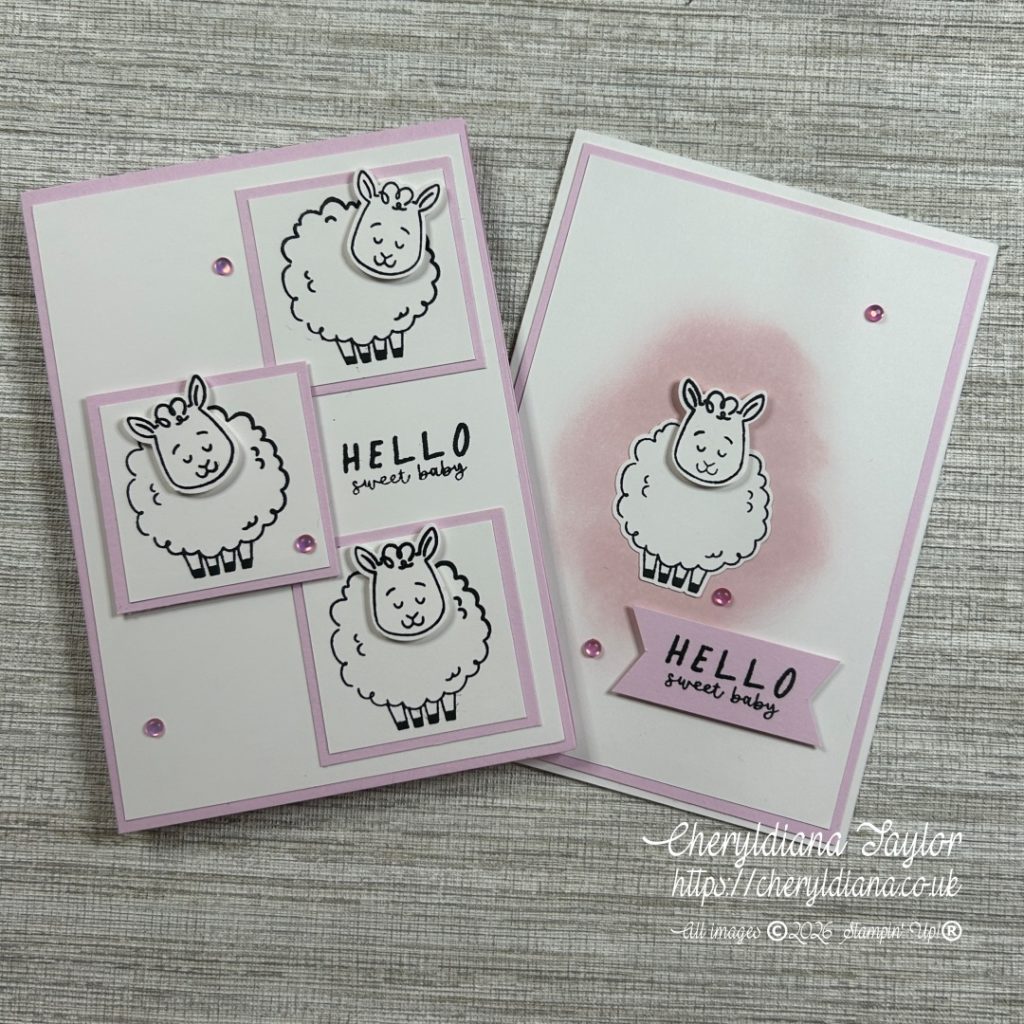 Spring Lamb New Baby Cards - Girl