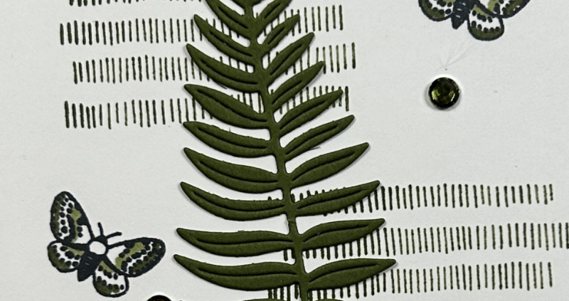 Simply Stylish Monochromatic Card